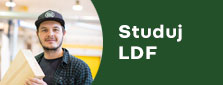 Studuj LDF